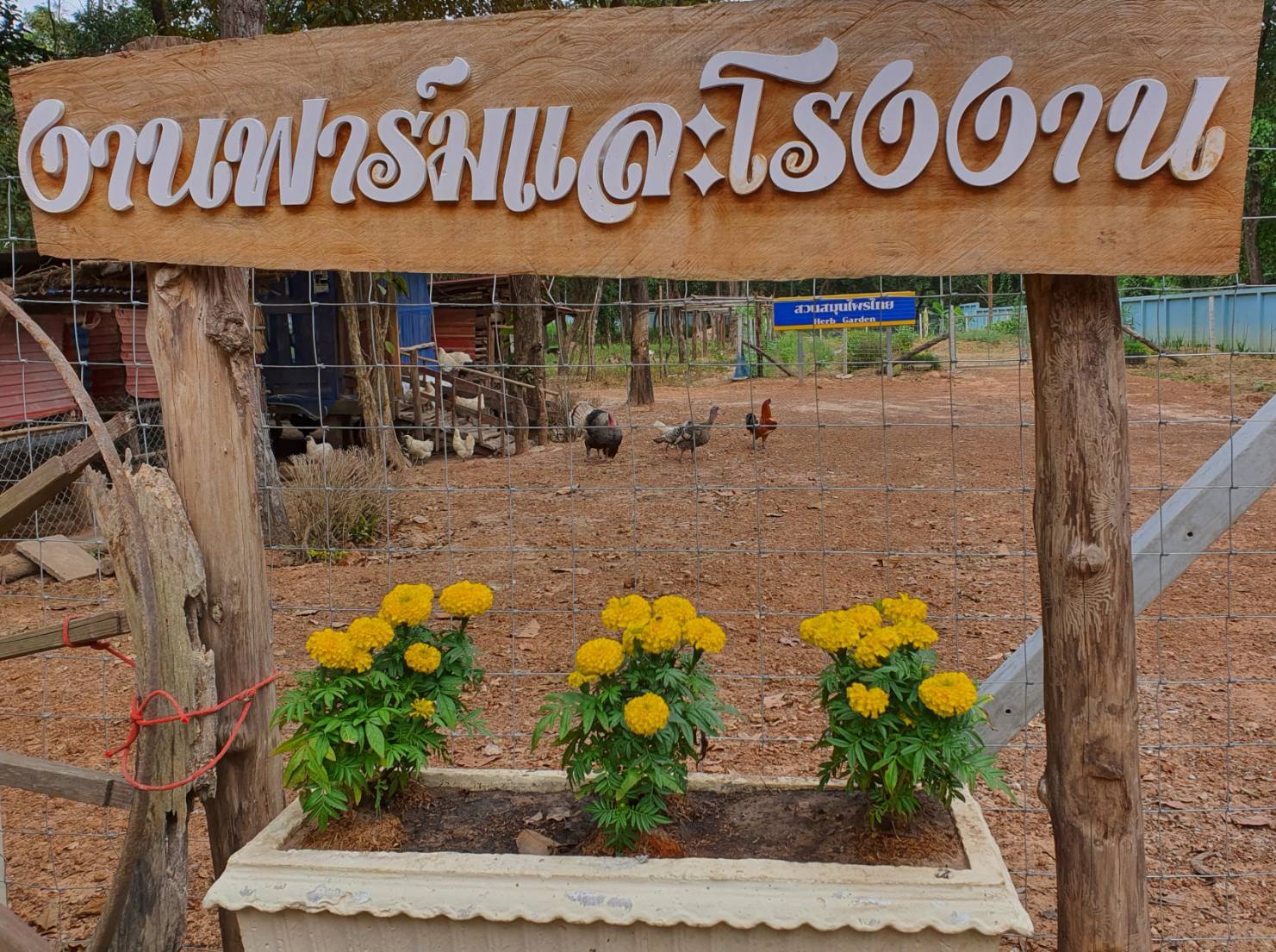 โครงการชีววิถี วิทยาลัยการอาชีพหนองหาน